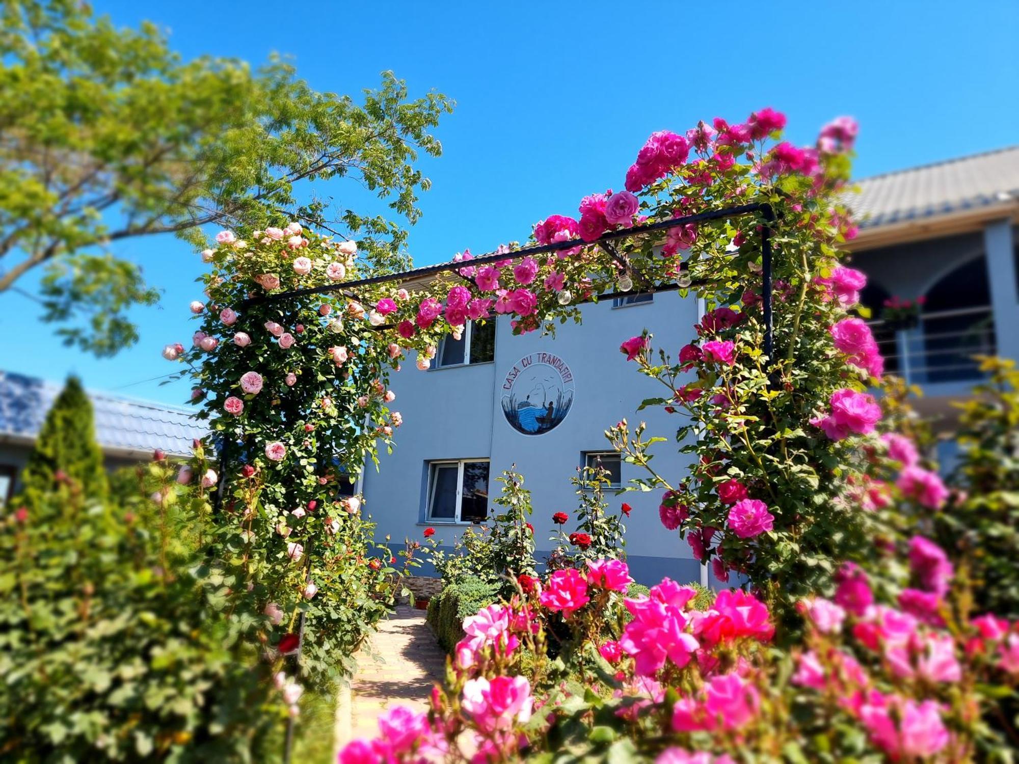 Casa Cu Trandafiri Муригьол Экстерьер фото